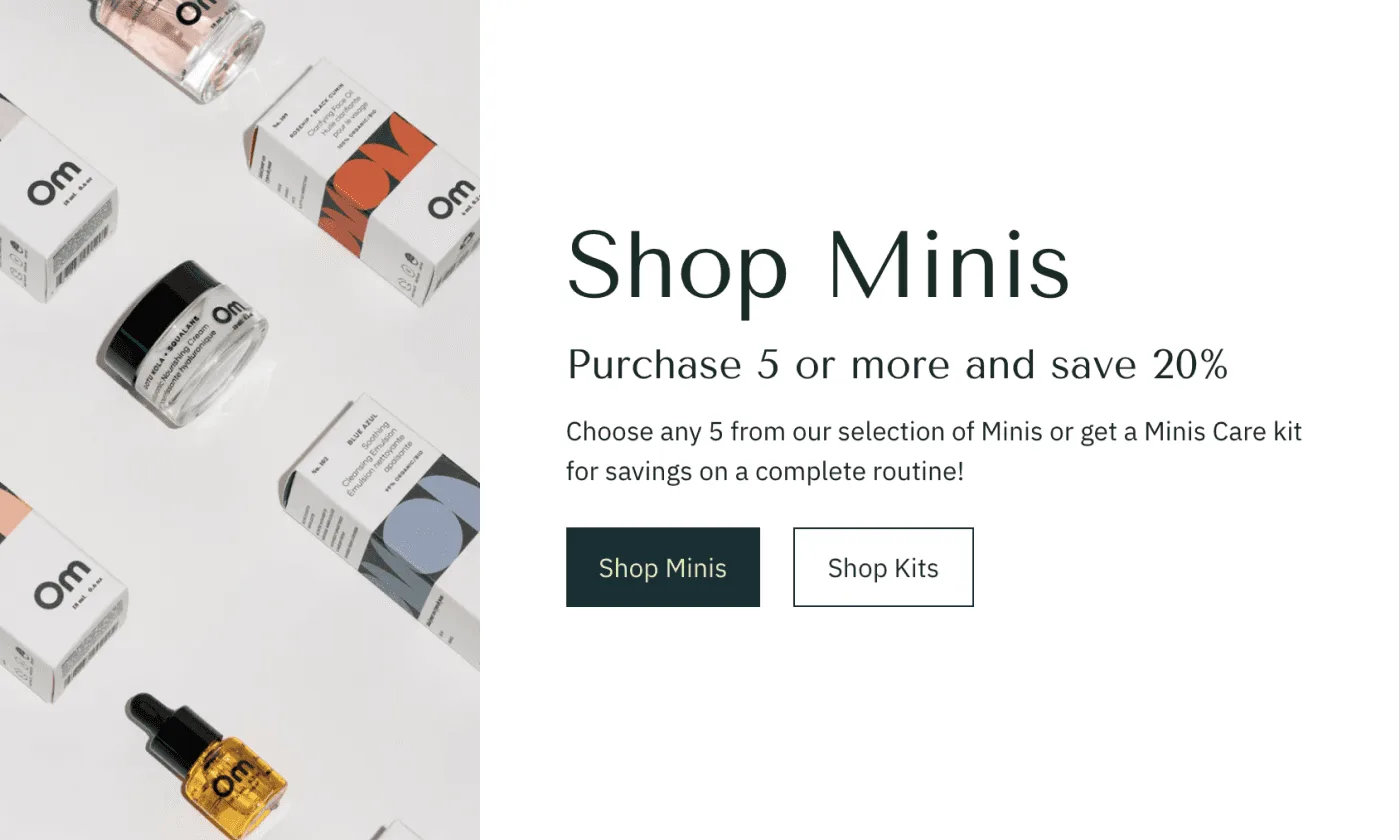 Promotional section example set in Tenor Sans and IBM Plex Sans